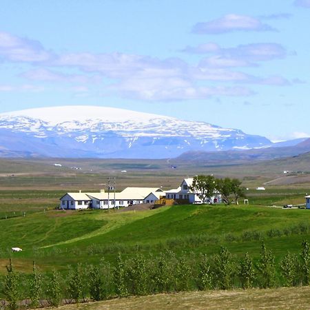 Guesthouse Steindorsstadir, West Iceland Reykholt  Exteriér fotografie