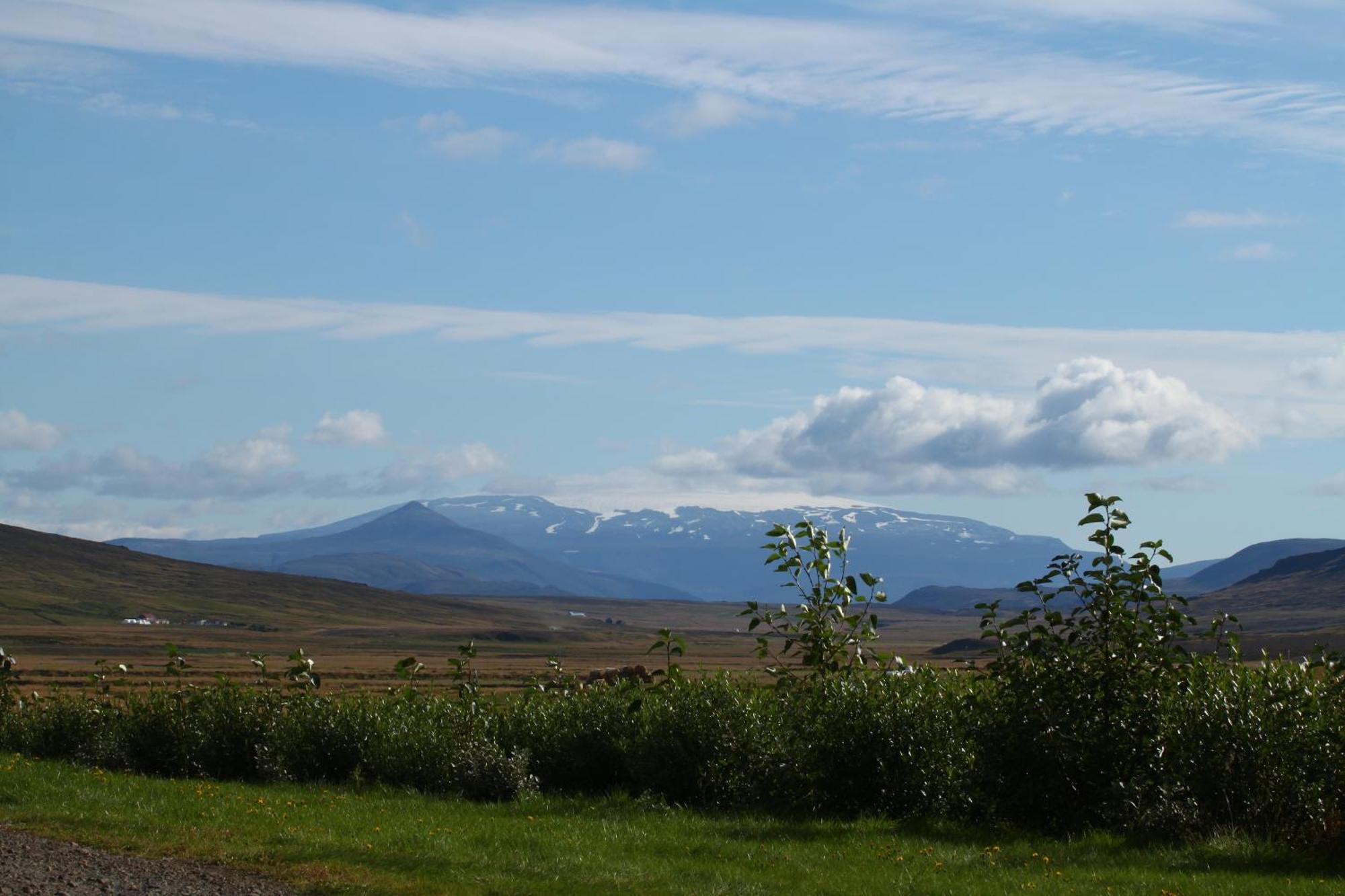 Guesthouse Steindorsstadir, West Iceland Reykholt  Exteriér fotografie