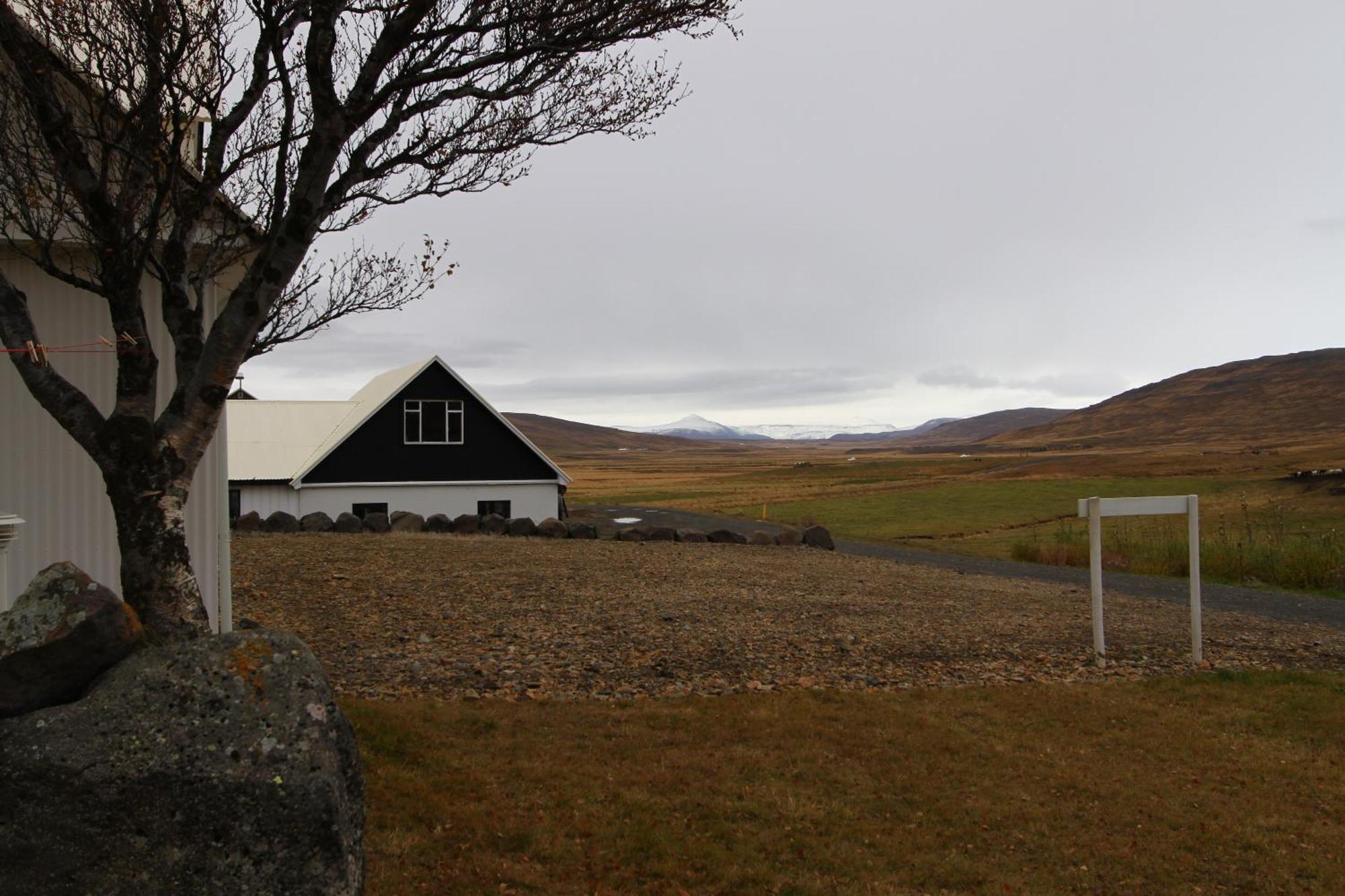 Guesthouse Steindorsstadir, West Iceland Reykholt  Exteriér fotografie