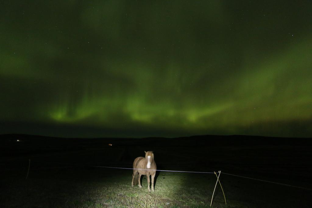 Guesthouse Steindorsstadir, West Iceland Reykholt  Exteriér fotografie